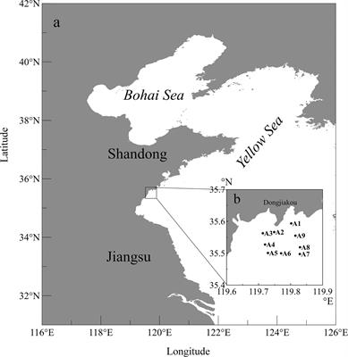 First Report on Large-Scale Phaeocystis globosa Bloom in the Southern Yellow Sea, China